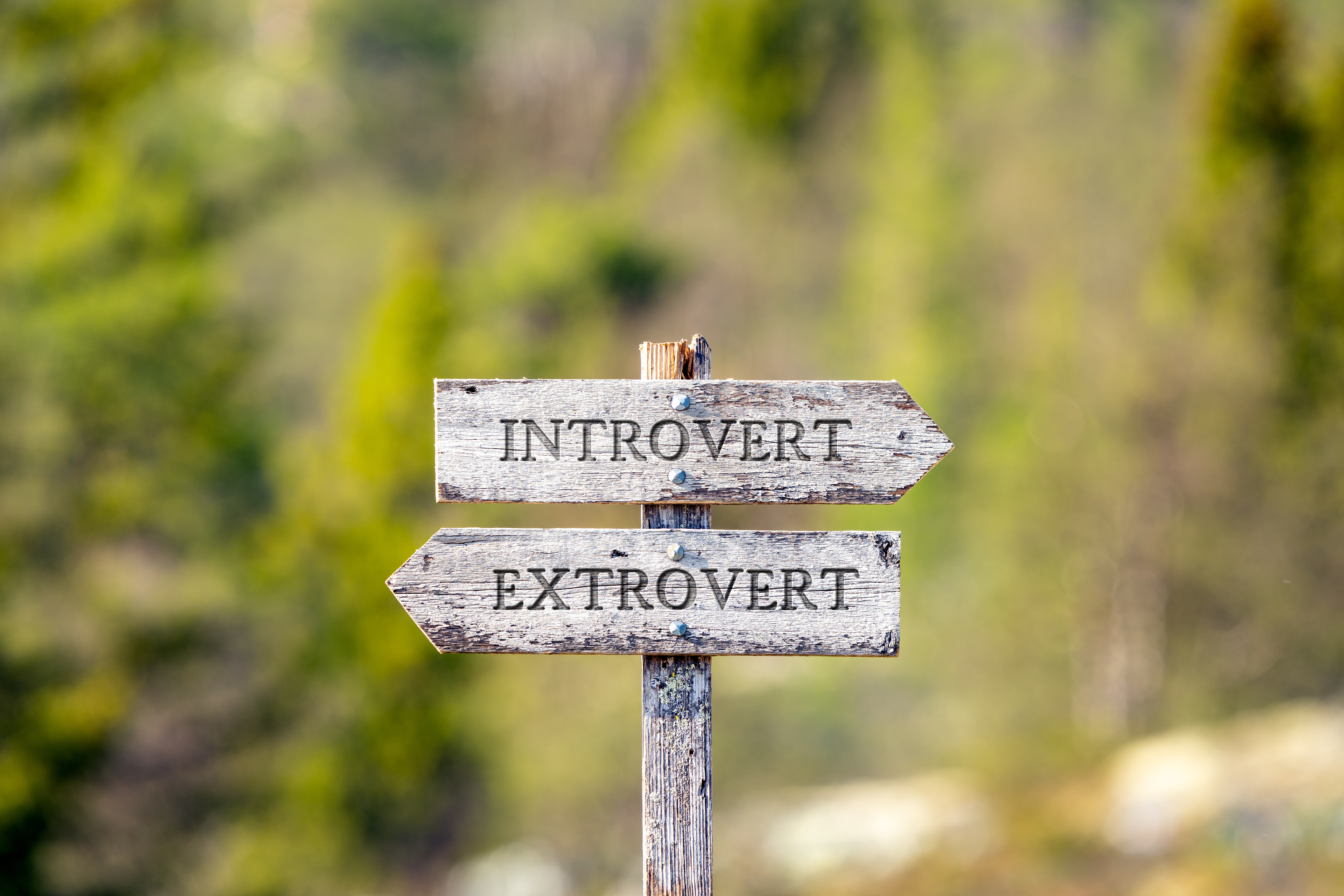 Why Introverted Leaders Rock!