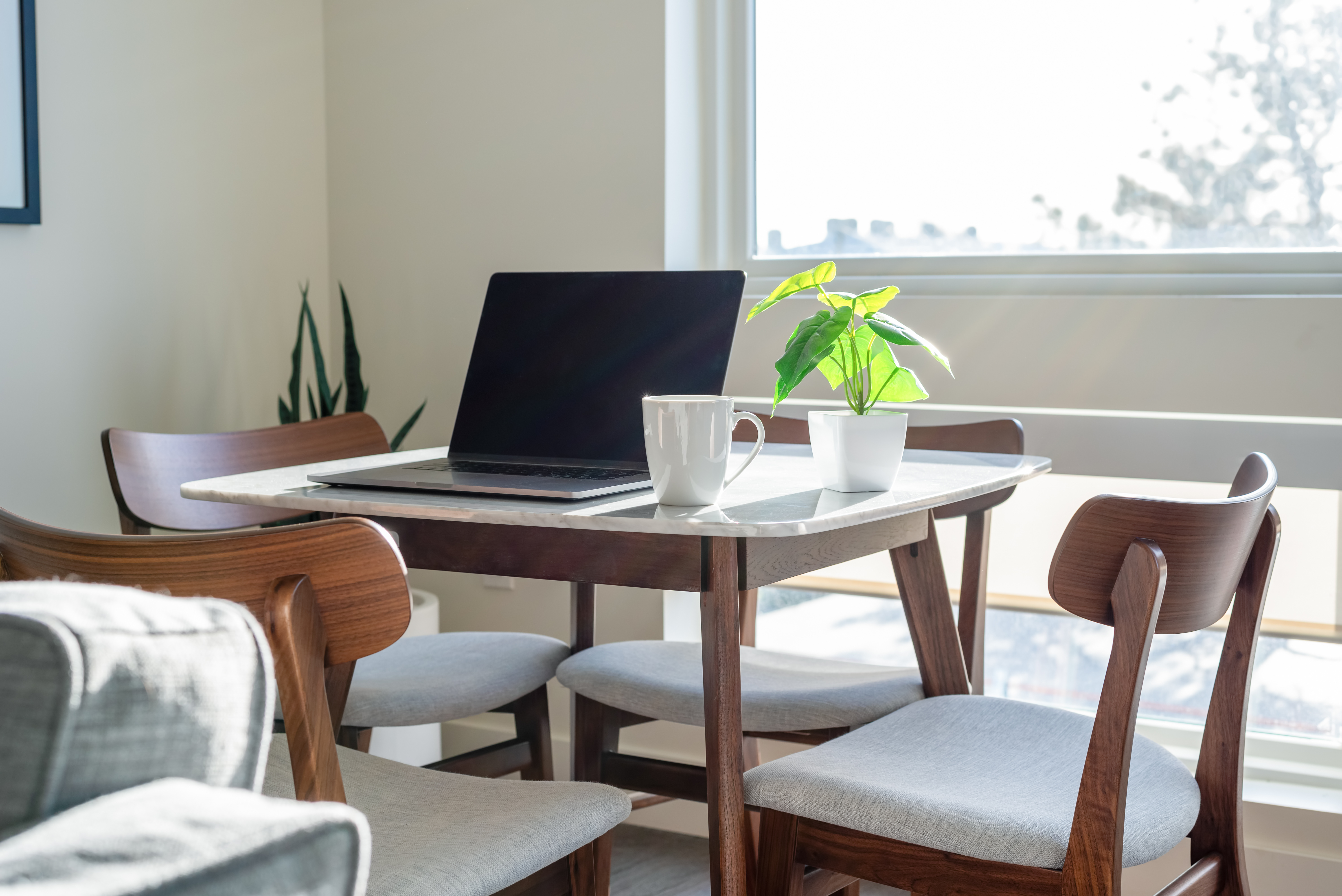 Remote Working is here to stay - for now