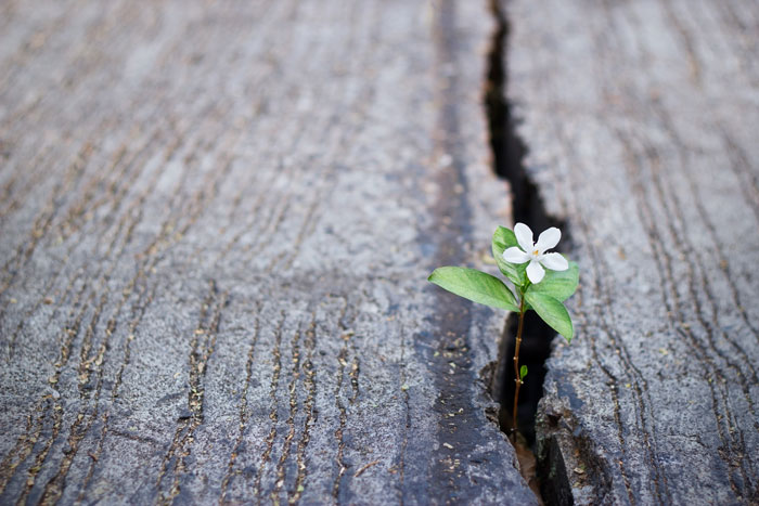 How to Build Resilience in the Workplace